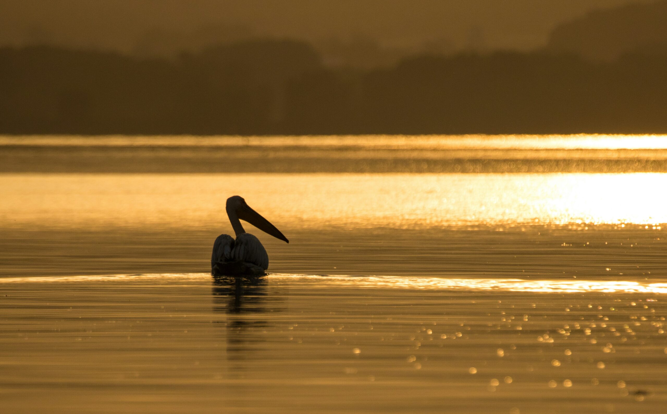 spyros-skareas-psFlAxDh22U-unsplash