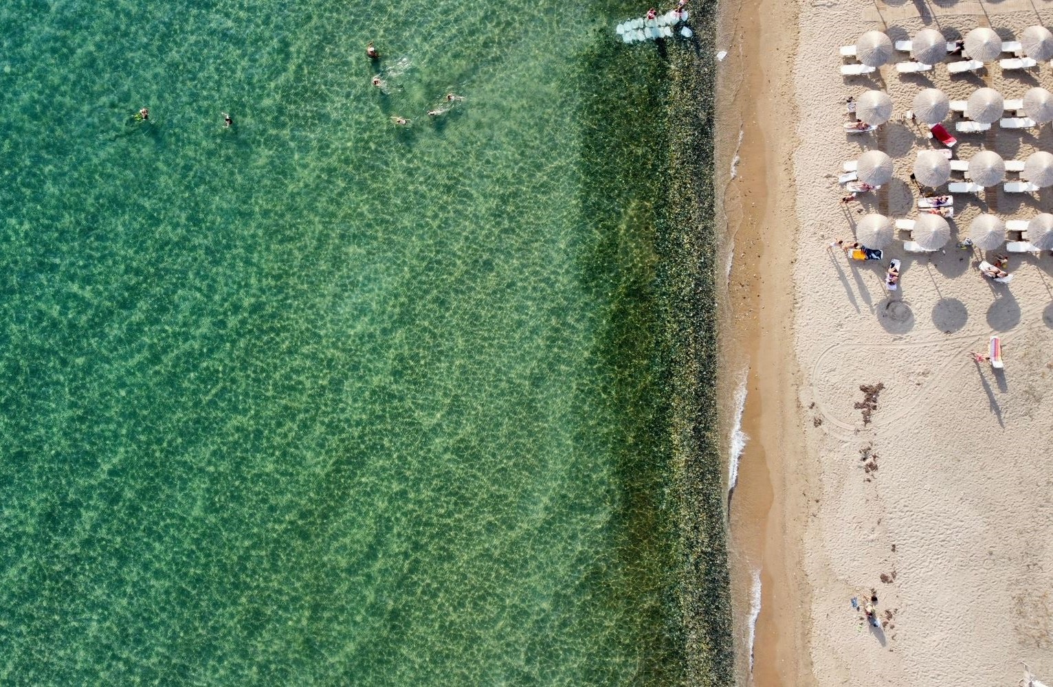 Παραλία Νέων Φλογητών